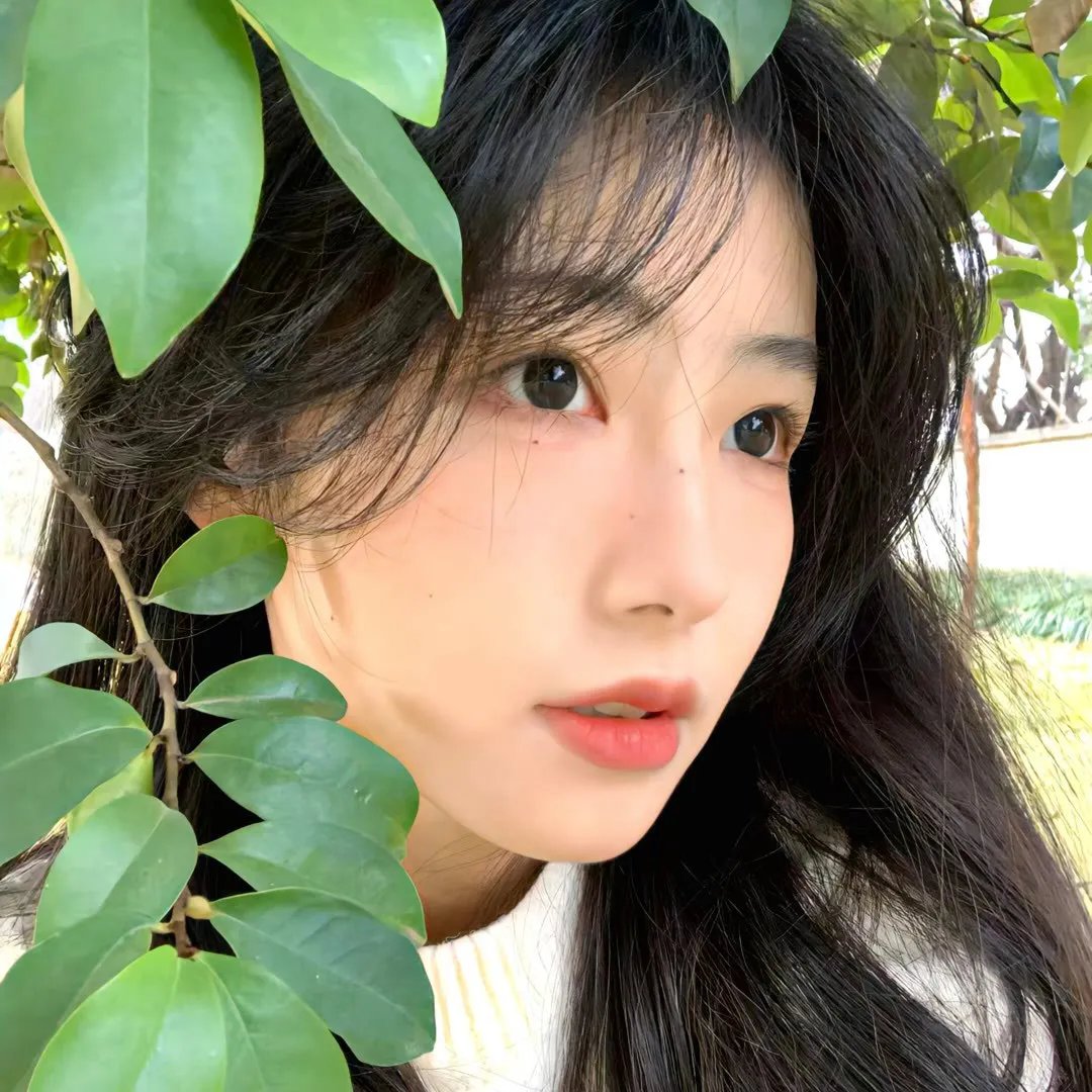 赖猫的狮子倒影